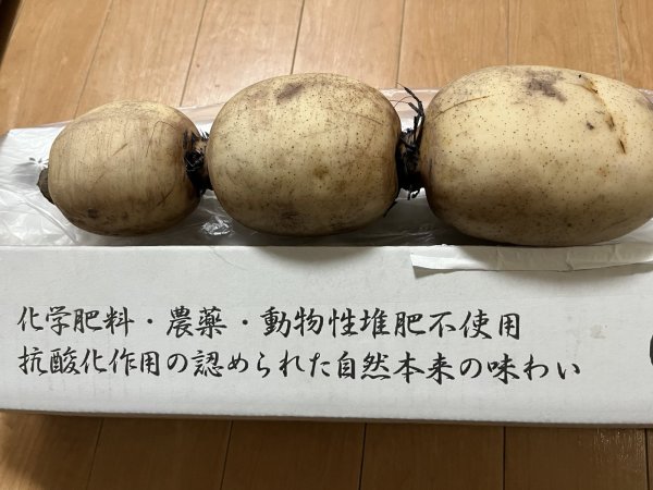 画像2: 生でも安心!化学肥料・農薬不使用!抗酸化作用レンコン(2kg) (2)