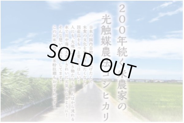 画像6: トリニティーゼット (6)