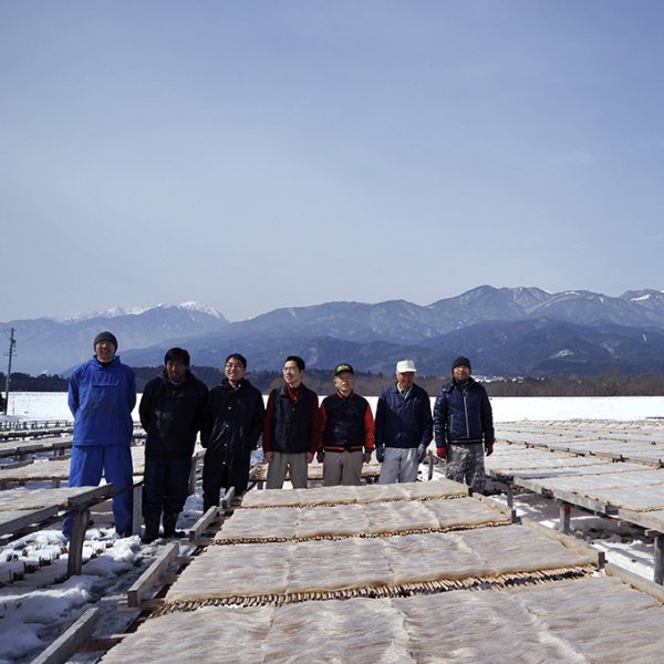 画像2: 生ところてん（5人前 900g）信州伊那産　1月20日発送予定(この商品のみ単独発送） (2)