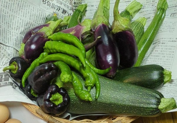 画像4: 【農薬・肥料不使用】八ヶ岳直送！自然栽培で育ったお野菜セット (4)