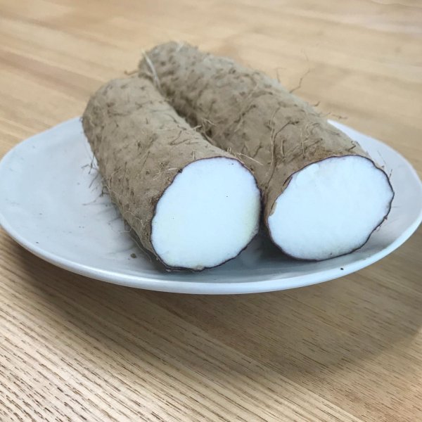 画像3: 農薬不使用！皮ごと食べられる長芋　新芋 5kg (3)